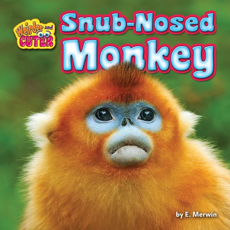 Snub-Nosed Monkey