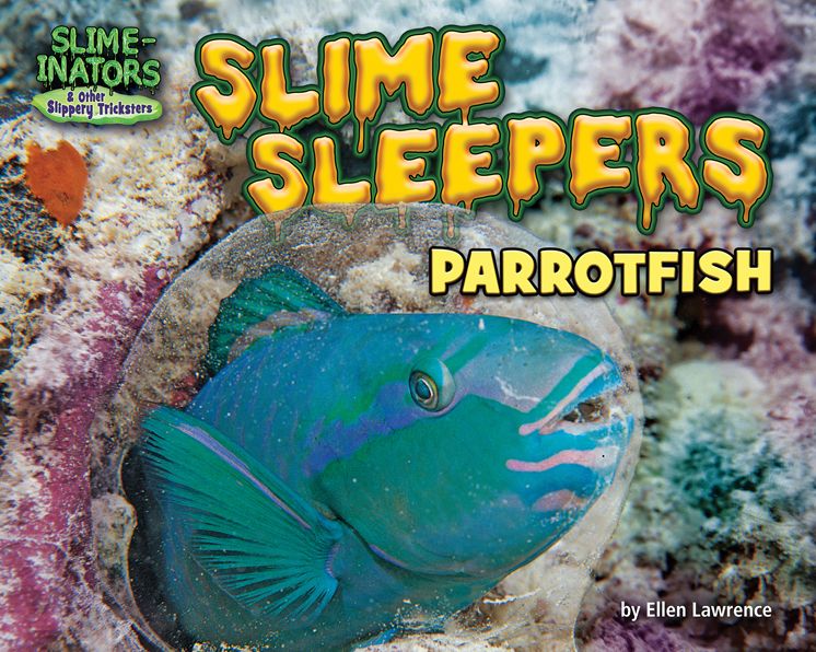 Slime Sleepers: Parrotfish
