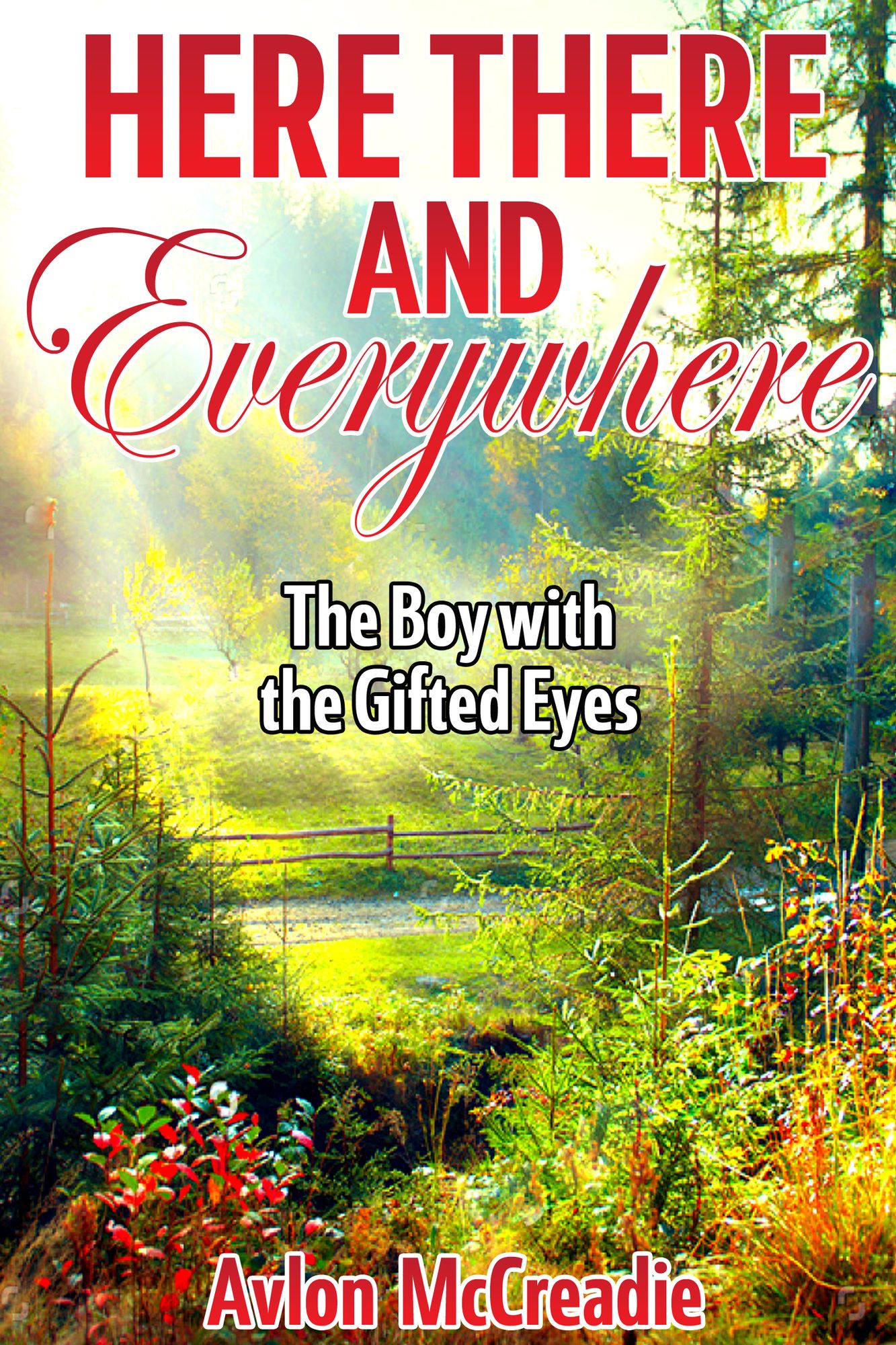 Here There and Everywhere: The Boy with the Gifted Eyes