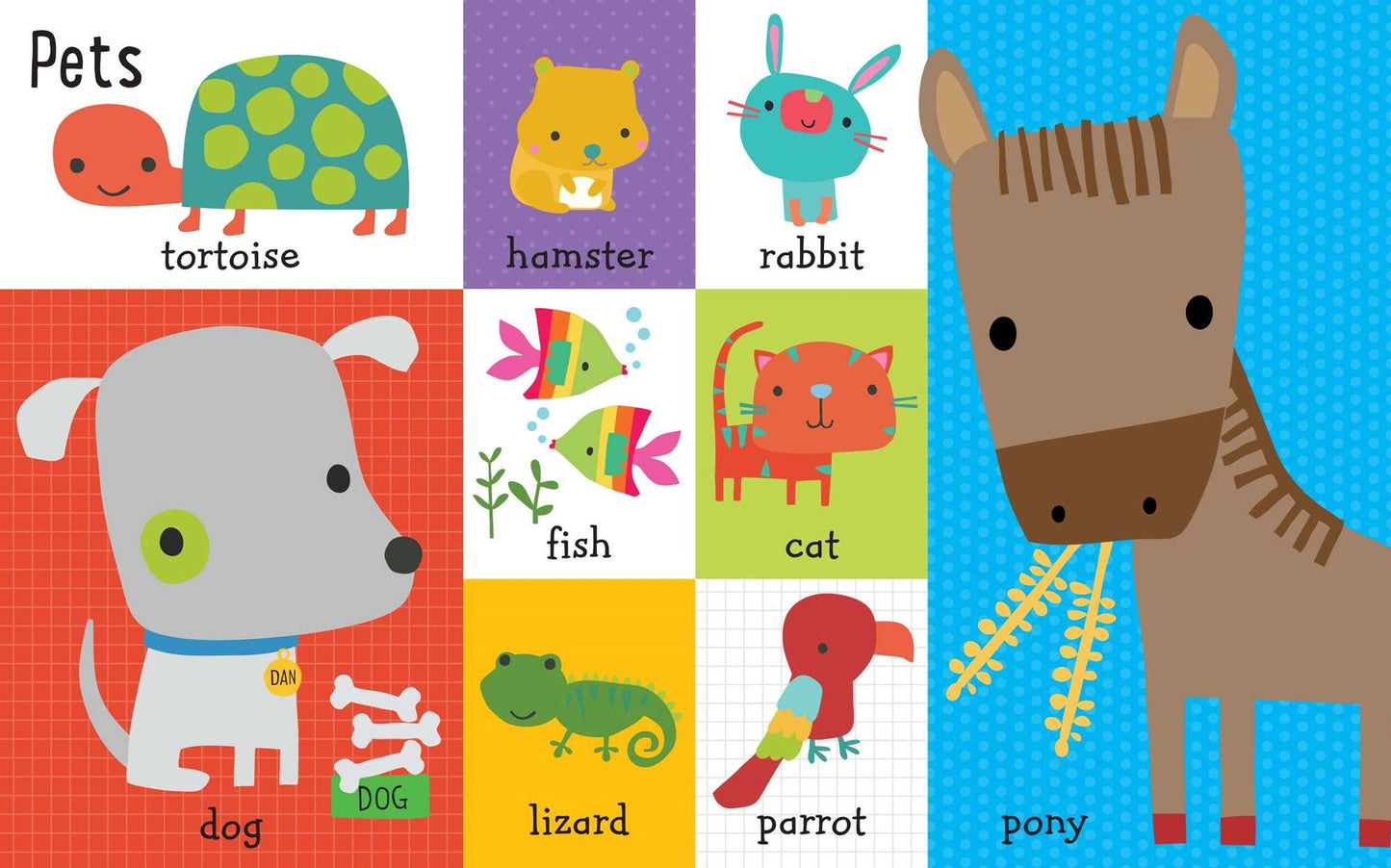 100 Animal Words