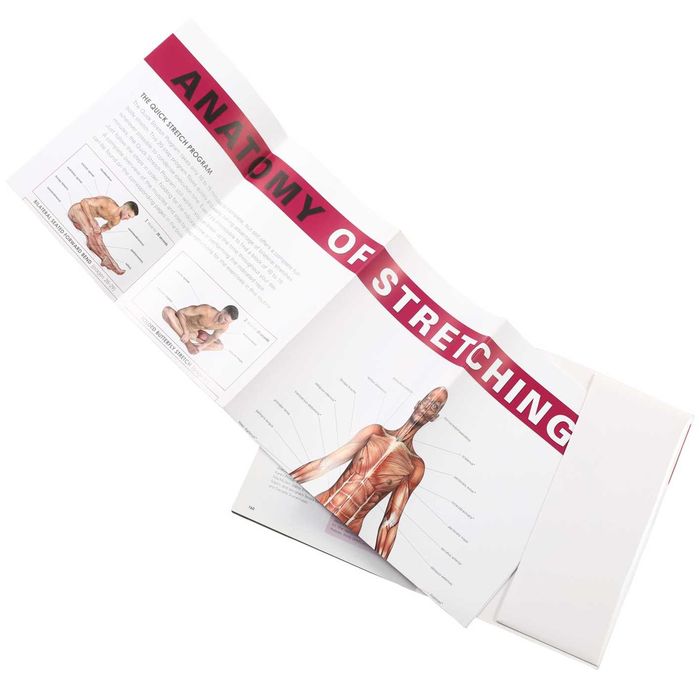 Anatomy of Stretching