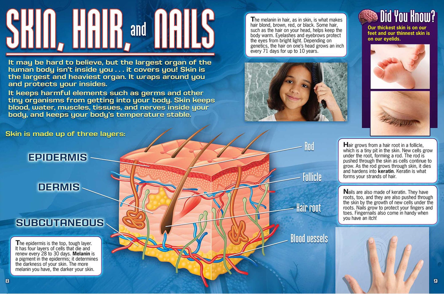Adventures in Science: The Human Body