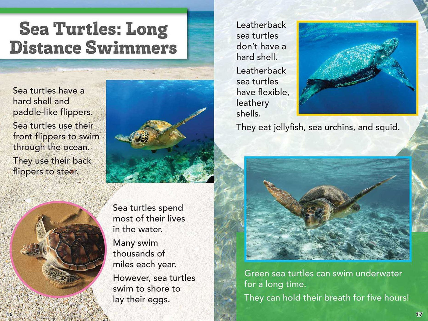 Smithsonian Readers: Amazing Animals Level 2