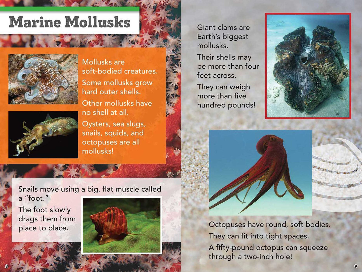 Smithsonian Readers: Amazing Animals Level 2