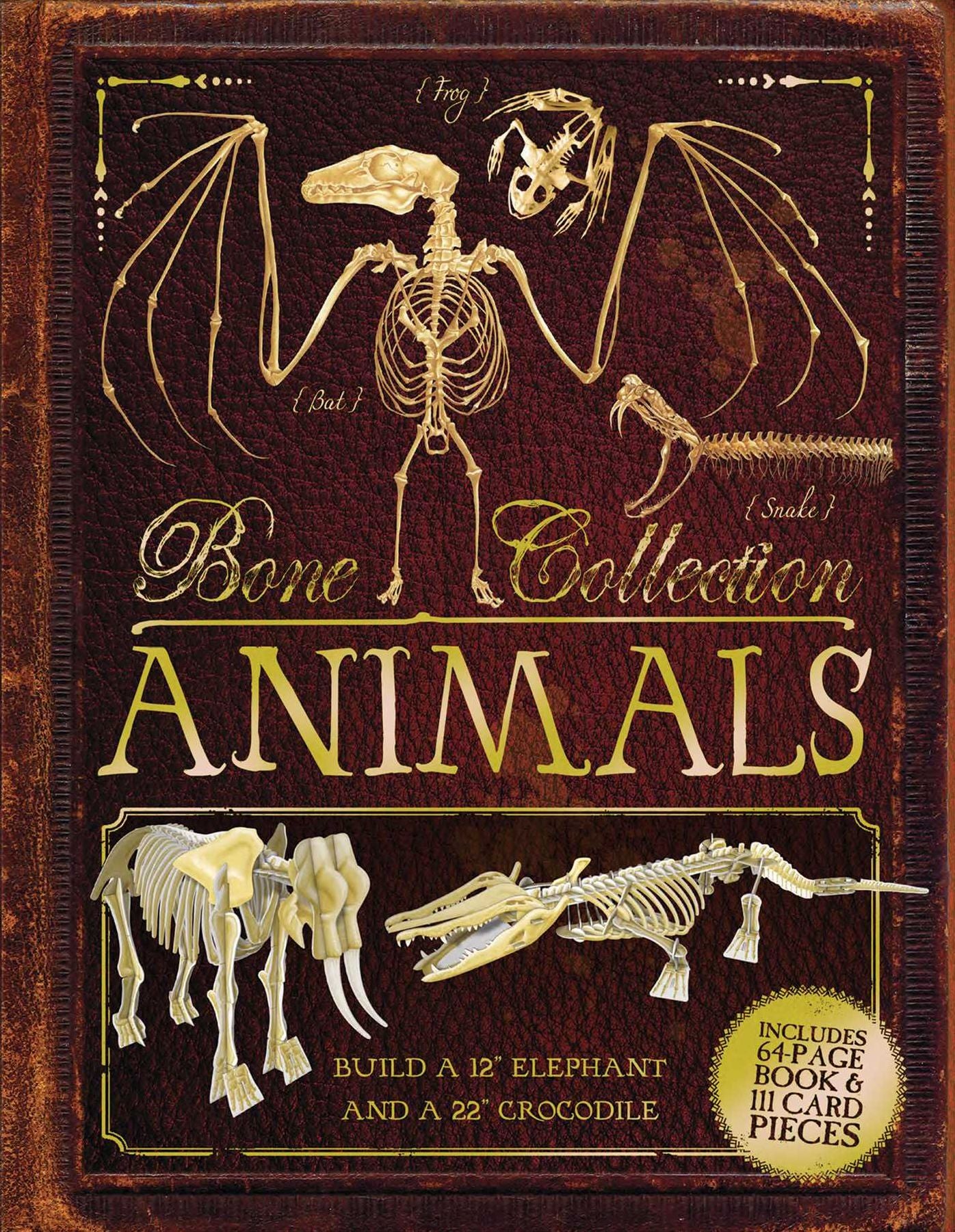 Bone Collection: Animals