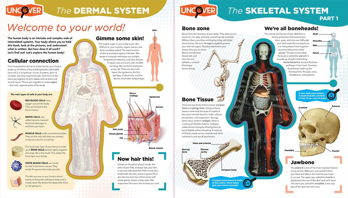 Uncover the Human Body
