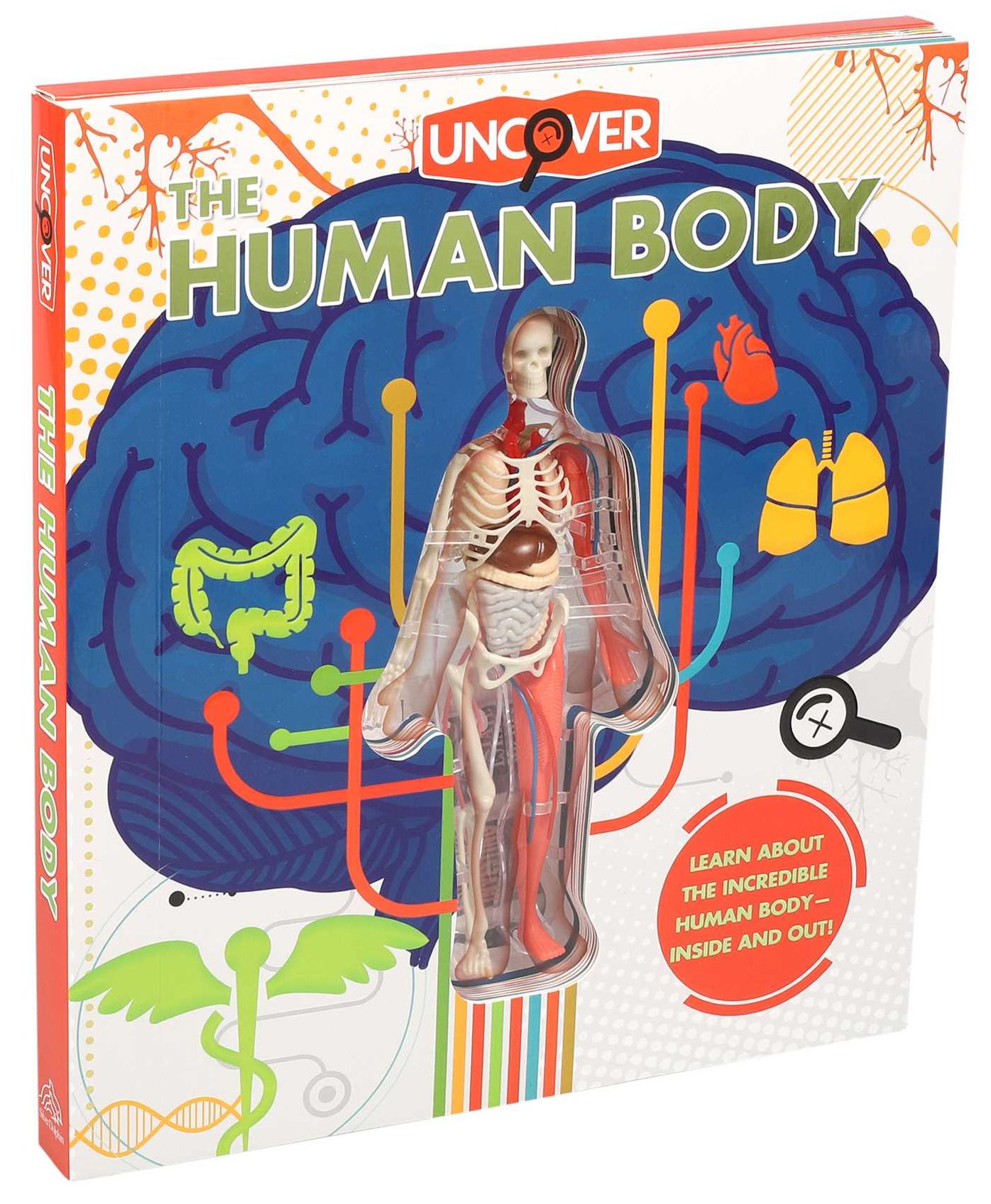 Uncover the Human Body