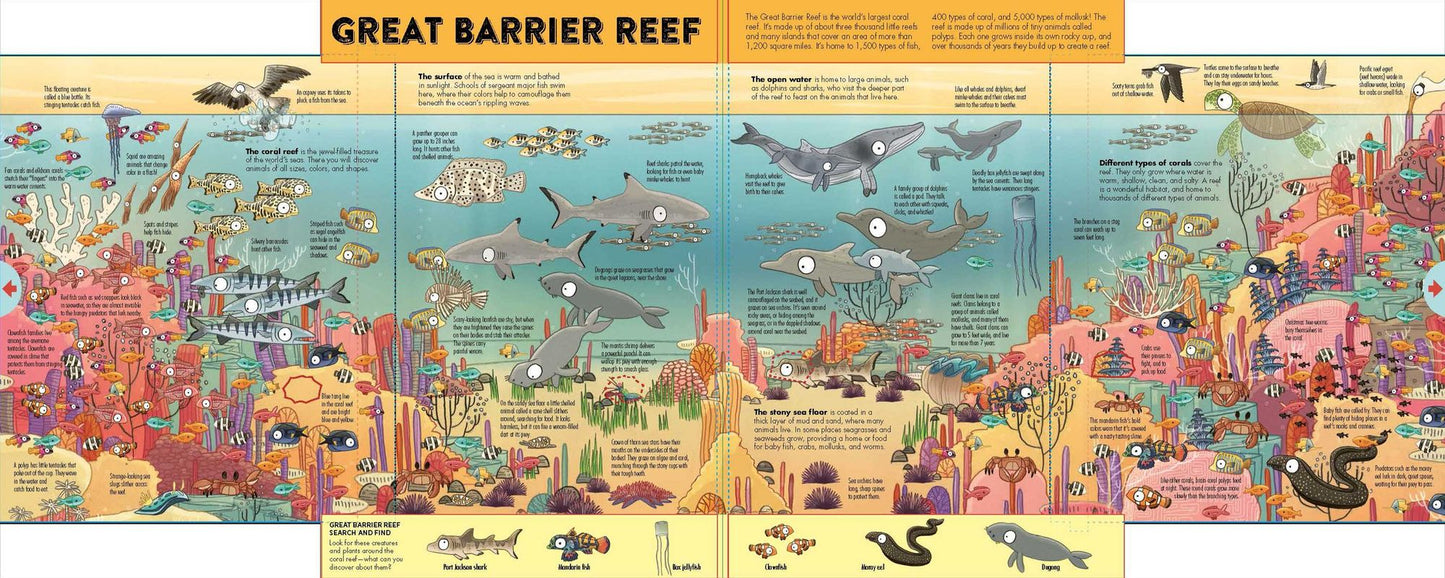 Expandable Explorations: Wild World
