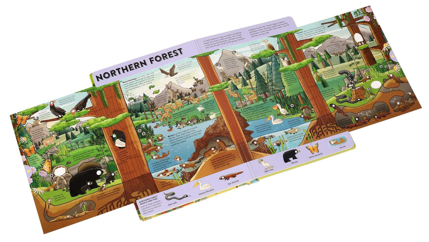 Expandable Explorations: Wild World