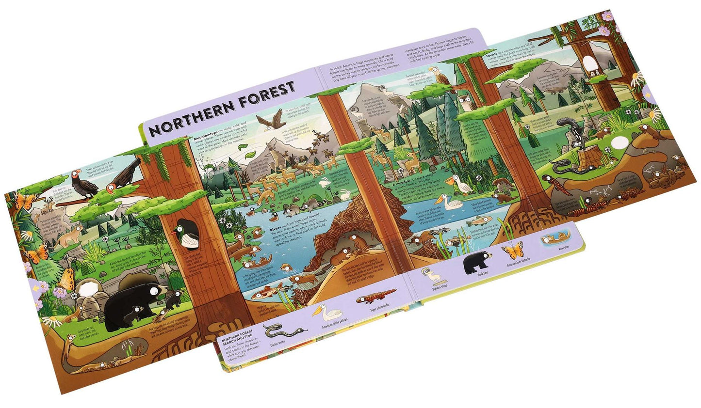 Expandable Explorations: Wild World