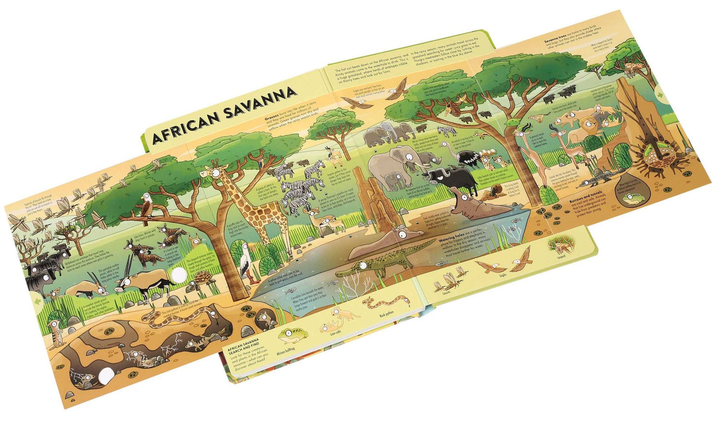 Expandable Explorations: Wild World
