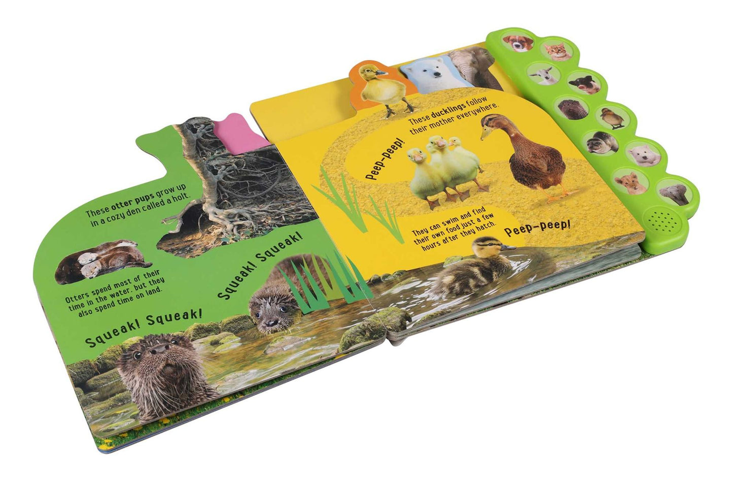 Discovery: Noisy Baby Animals! 10 button sound