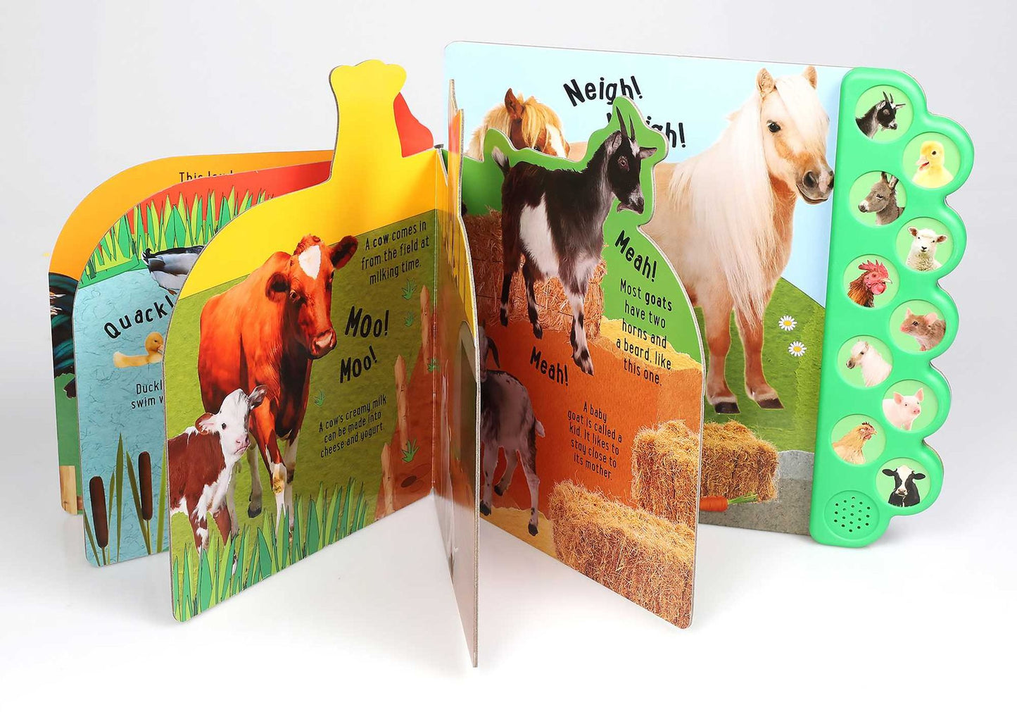 Discovery: Moo on the Farm! 10 button sound