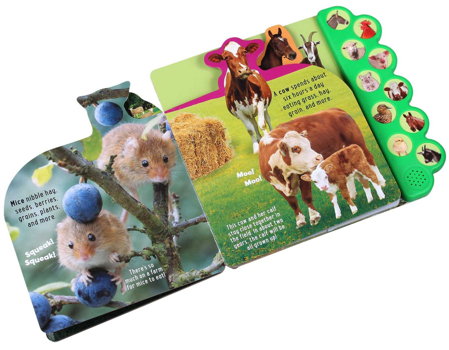 Discovery: Moo on the Farm! 10 button sound