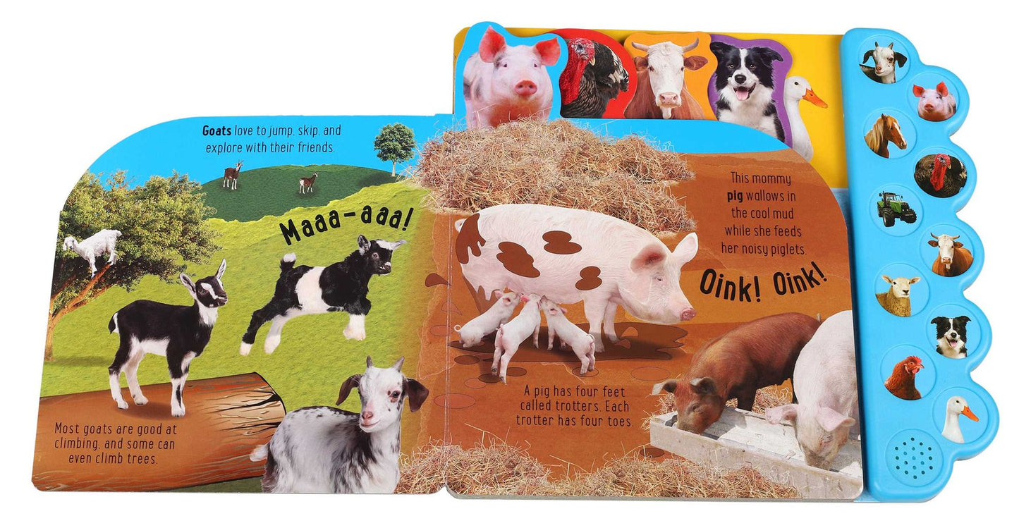 Discovery: Oink on the Farm! 10 button sound