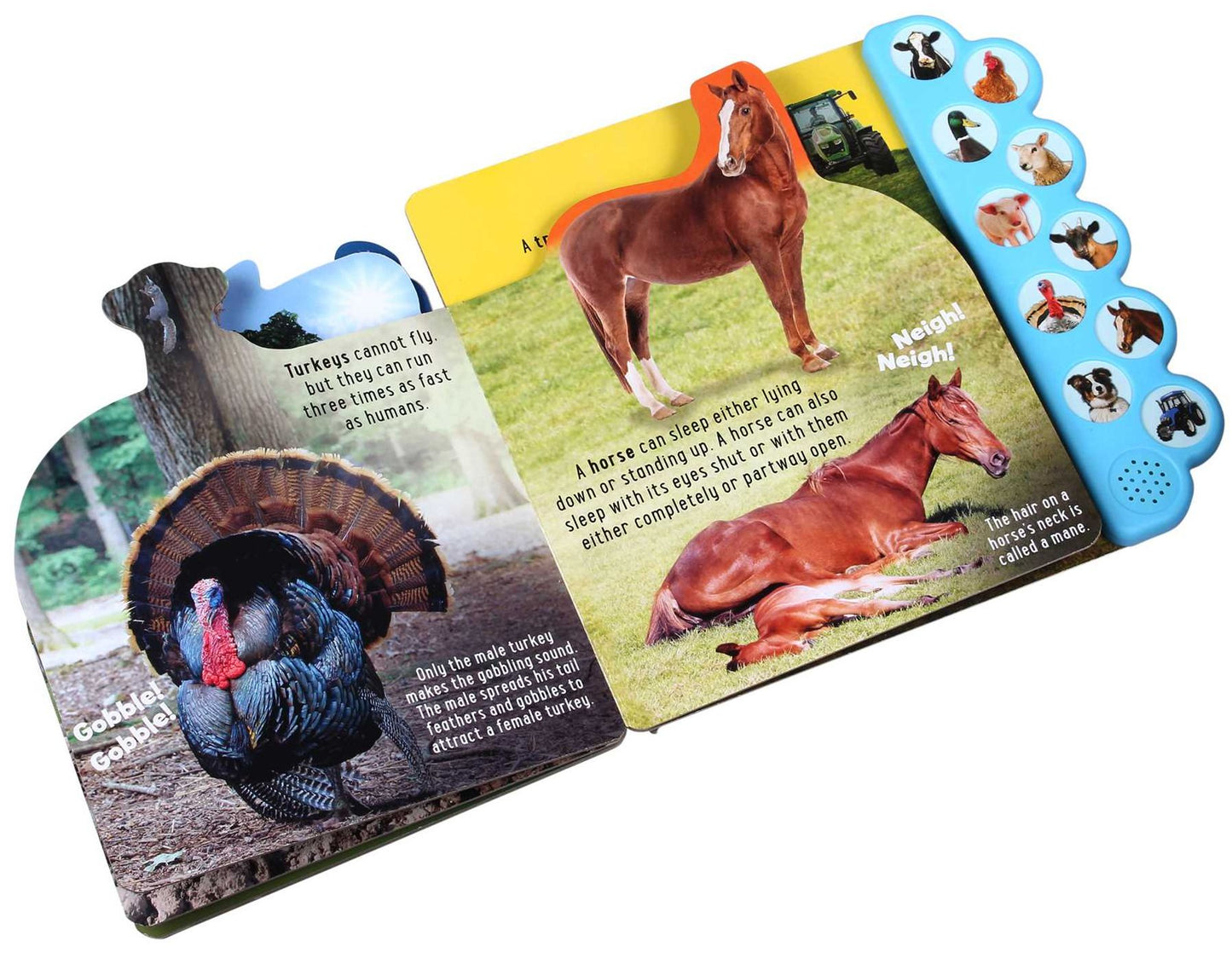 Discovery: Oink on the Farm! 10 button sound