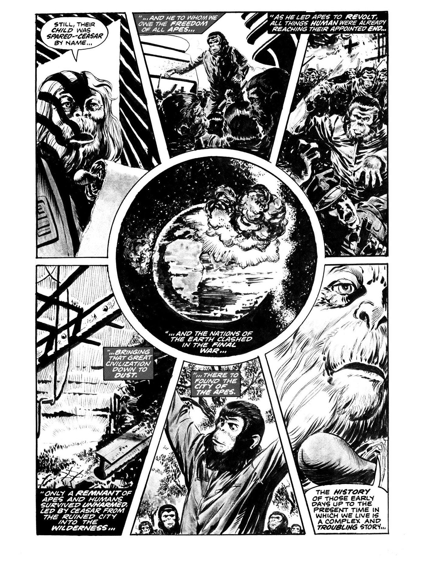 Planet of the Apes Archive Vol. 4: Evolution's Nightmare