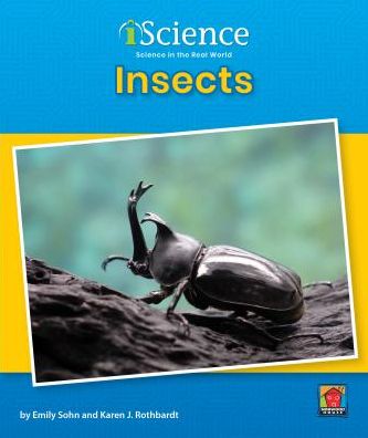 Insects