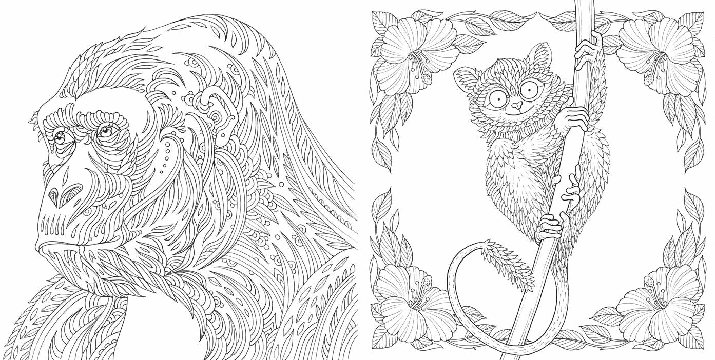 Nature Odyssey: A Wild Coloring Journey
