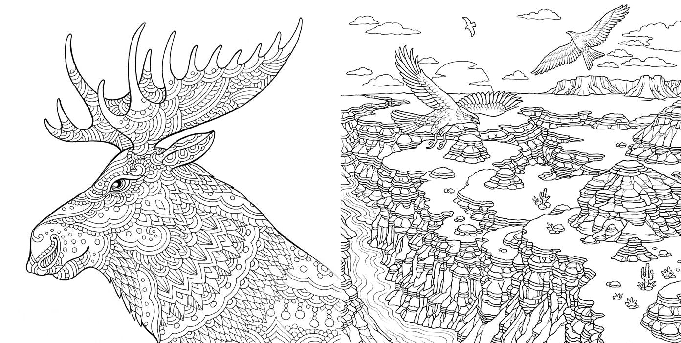 Nature Odyssey: A Wild Coloring Journey