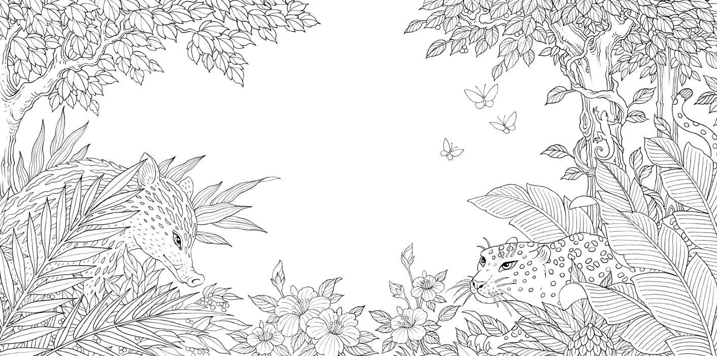 Nature Odyssey: A Wild Coloring Journey