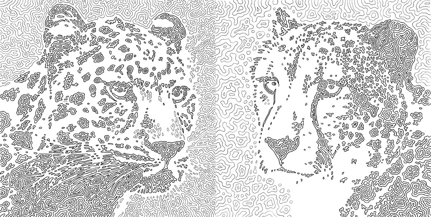 Nature Odyssey: A Wild Coloring Journey