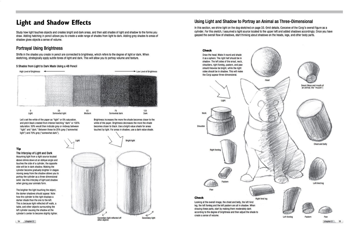 Drawing Animals 101: How to Draw with a Veterinarian's Eye