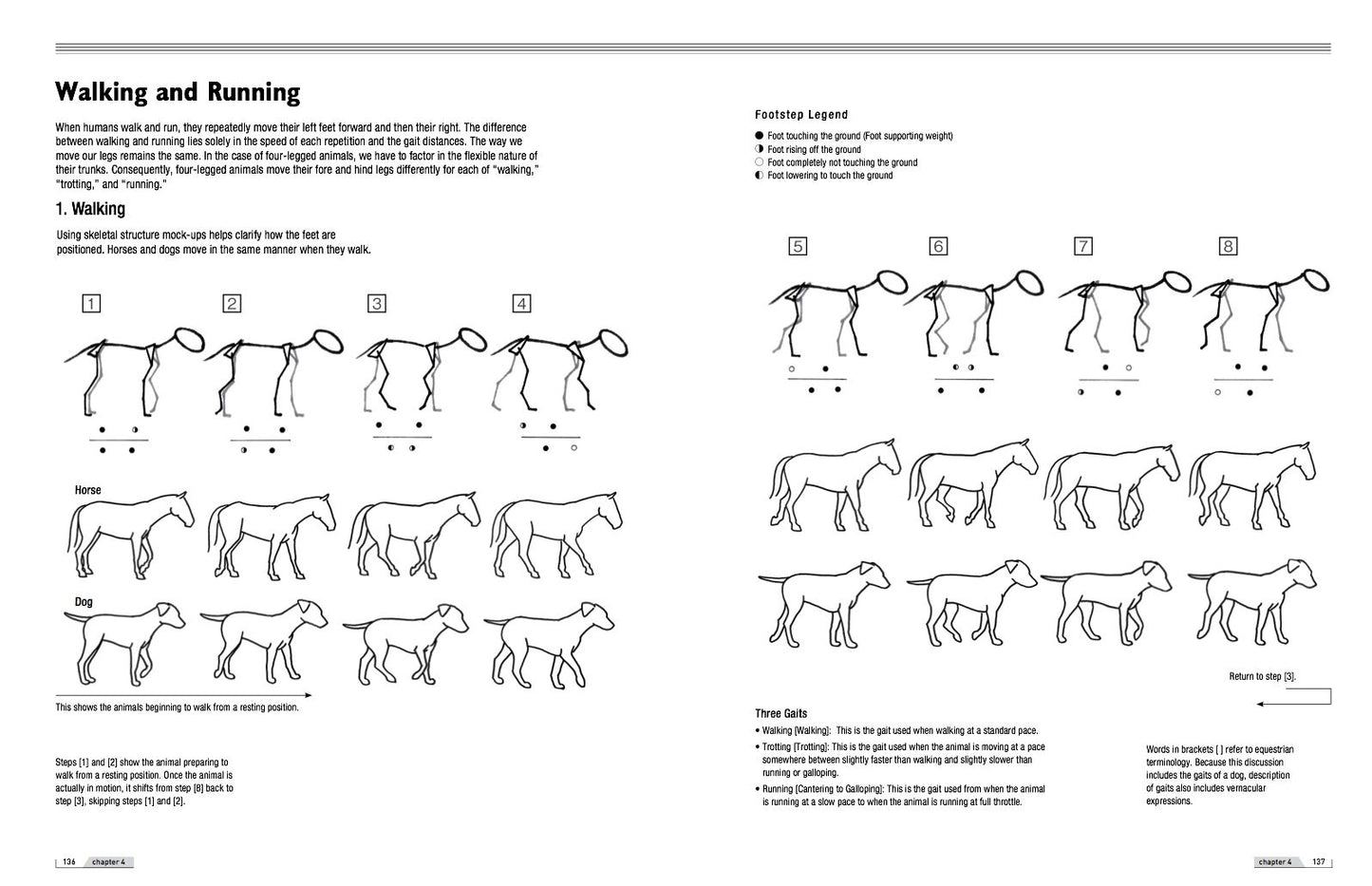 Drawing Animals 101: How to Draw with a Veterinarian's Eye