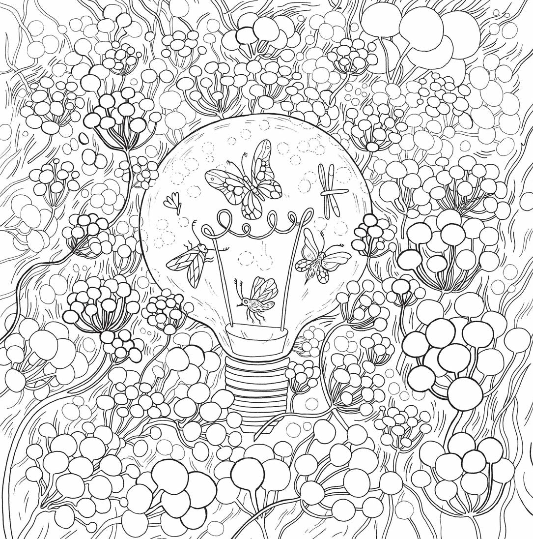 Dreamland: Coloring Whimsical Worlds