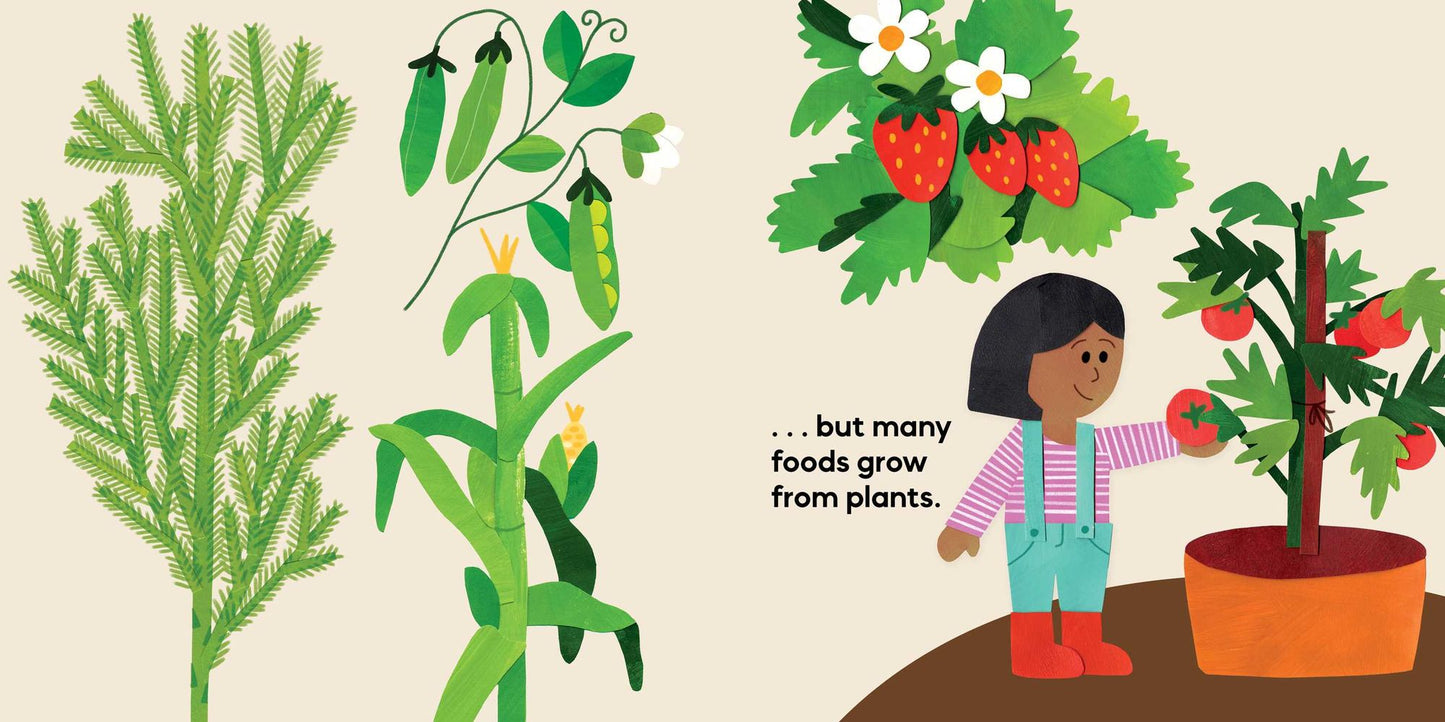 Our Food Grows