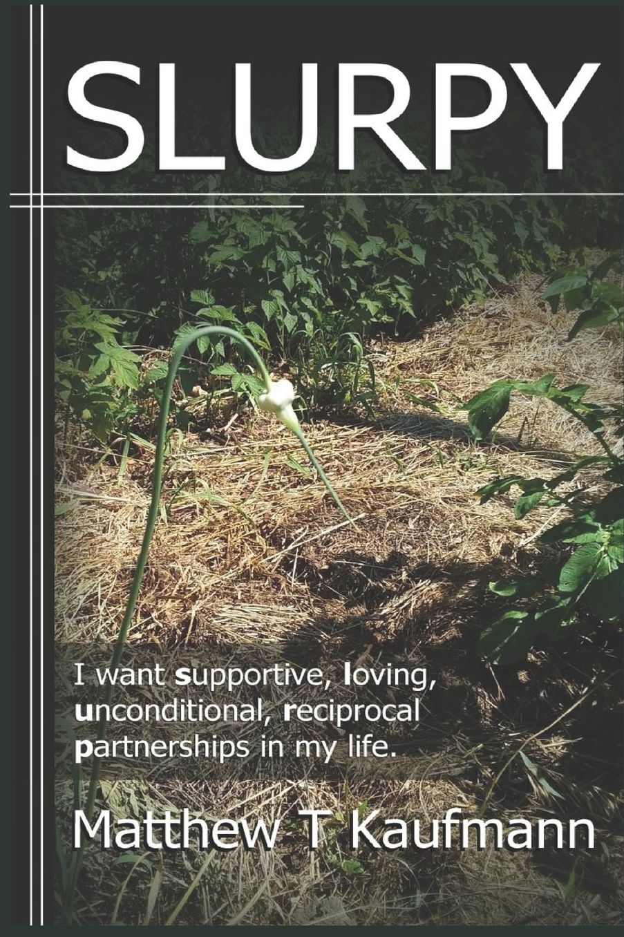 SLURPY: I want supportive, loving, unconditional, reciprocal, partnerships in my life.