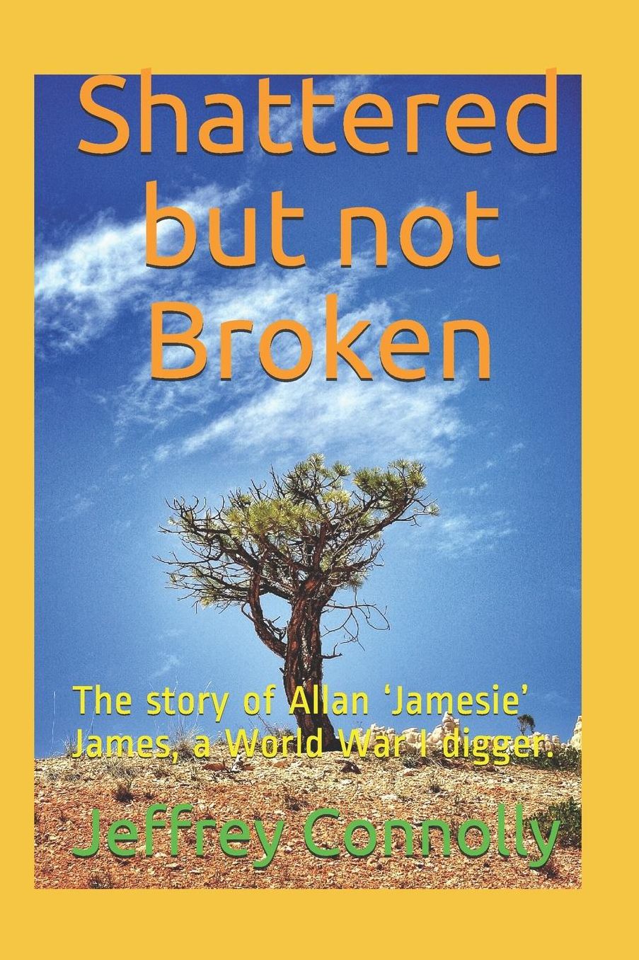 Shattered but not Broken: The story of Allan 'Jamesie' James, a World War I digger.