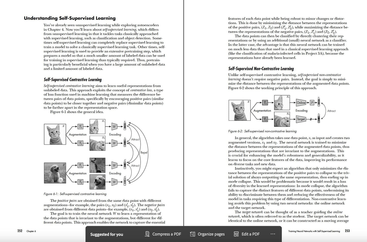 Deep Learning Crash Course