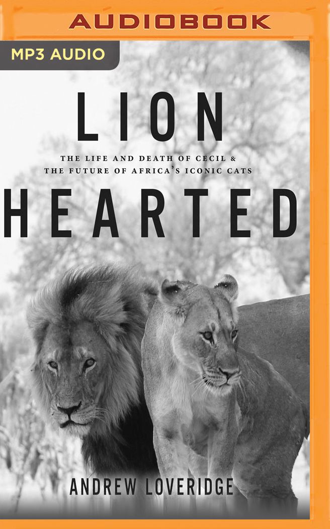Lion Hearted: The Life and Death of Cecil the Future of Africa's Iconic Cats
