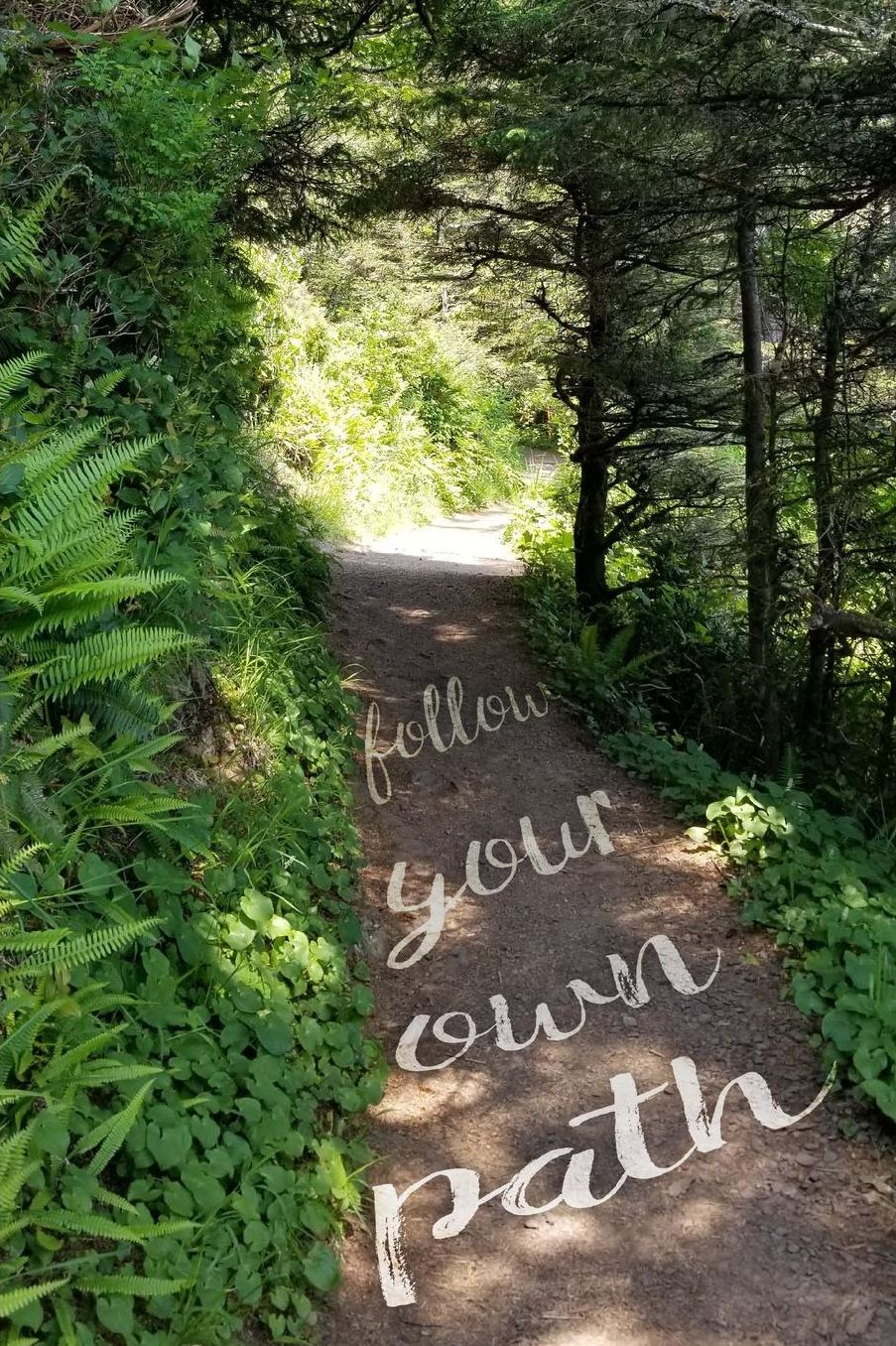 Follow Your Own Path Unique Formatted Notebook: Lined Pages Month and Date Header, Quote and Writing Prompt Boxes and You Fill in Index