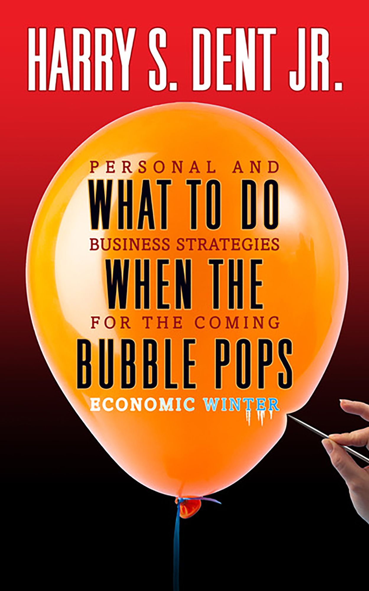 What to Do When the Bubble Pops: Personal and Business Strategies for the Coming Economic Winter