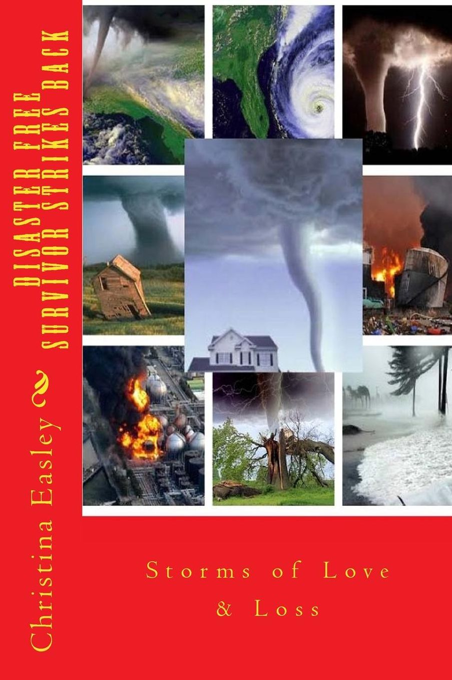 Disaster Free Survivor Strikes Back: Storms of Love Loss