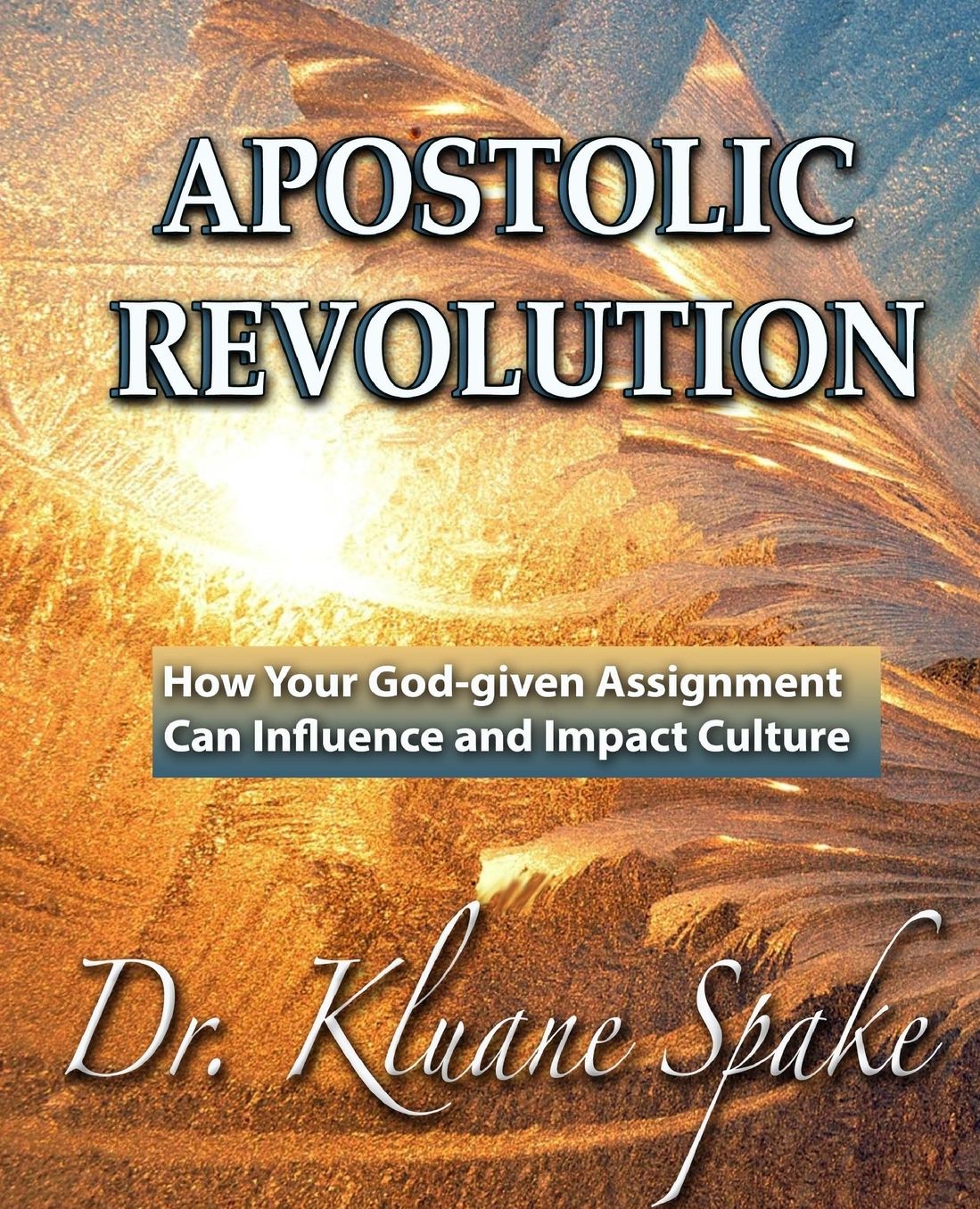 Apostolic Revolution: How Your God-Given Assignment Can Influence and Impact Culture