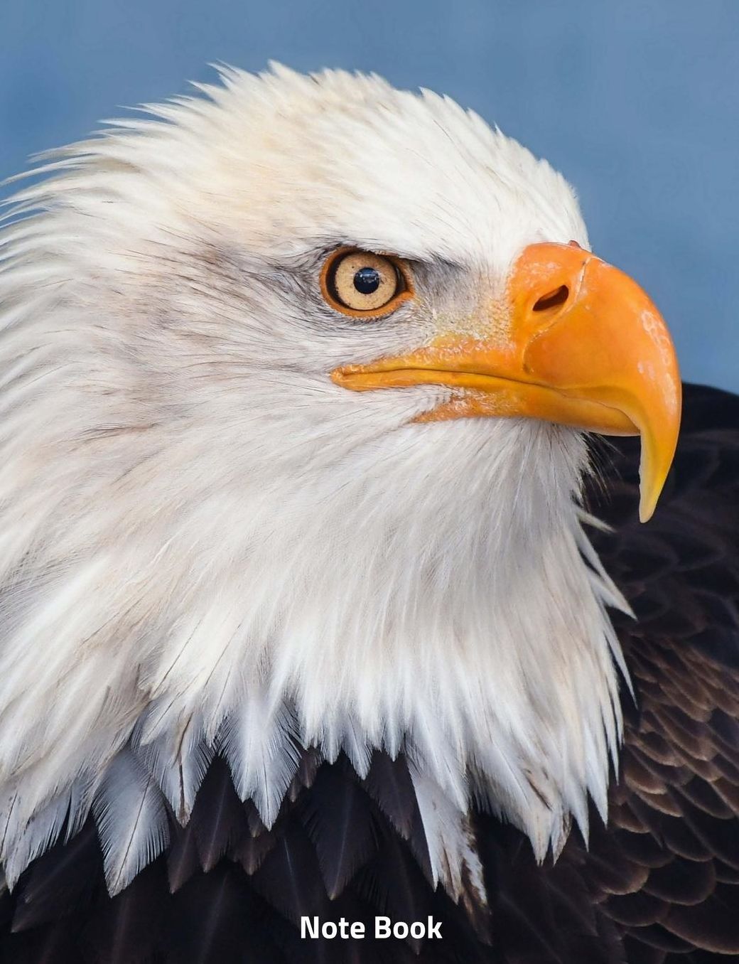 Note Book: Eagle Head, Notebook, Wide Lined, 200 Paged 7.44 X 9.69, Eagle, American, Bird of Prey