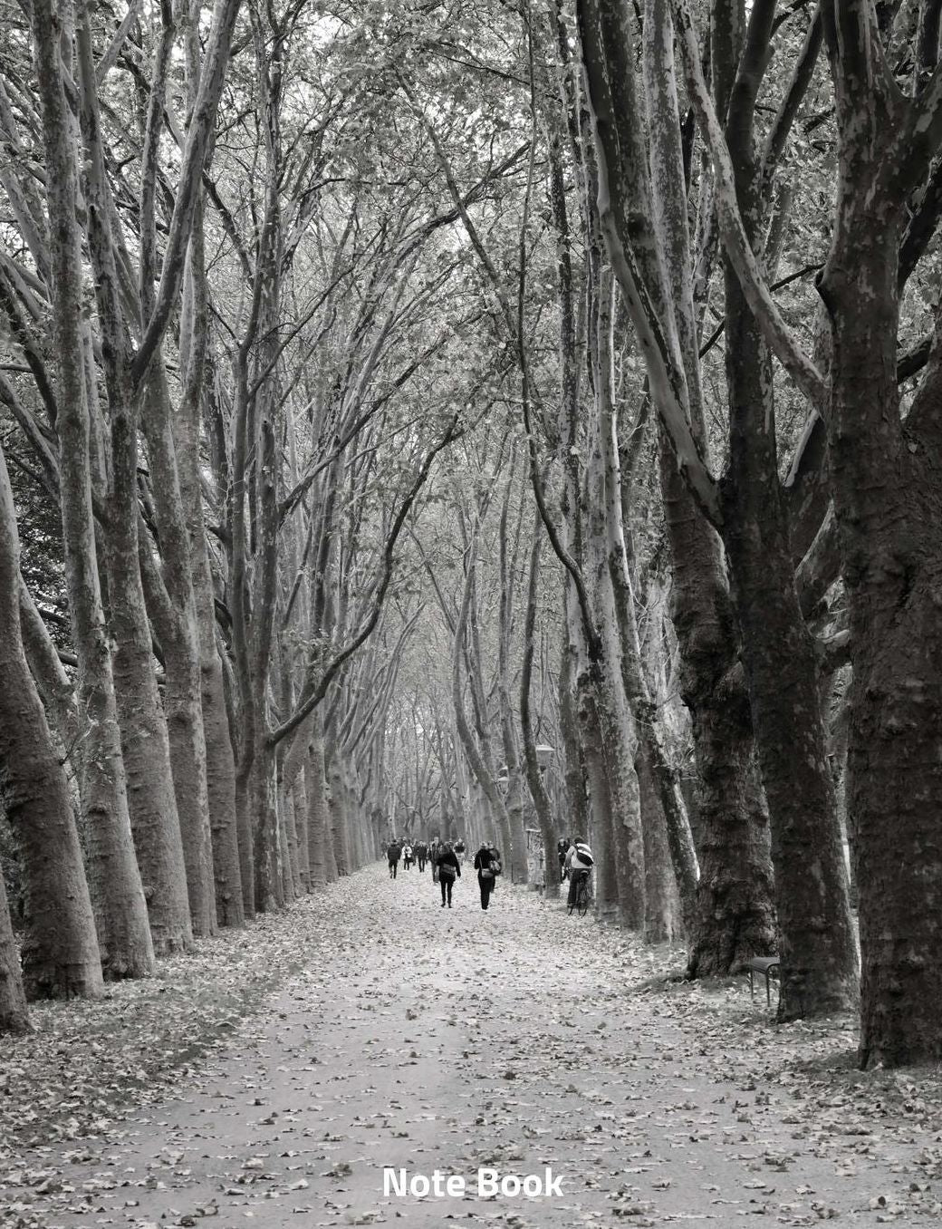 Note Book: Avenue of Trees, Notebook, Wide Lined, 200 Paged 7.44 X 9.69, Avenue, Path, Trees