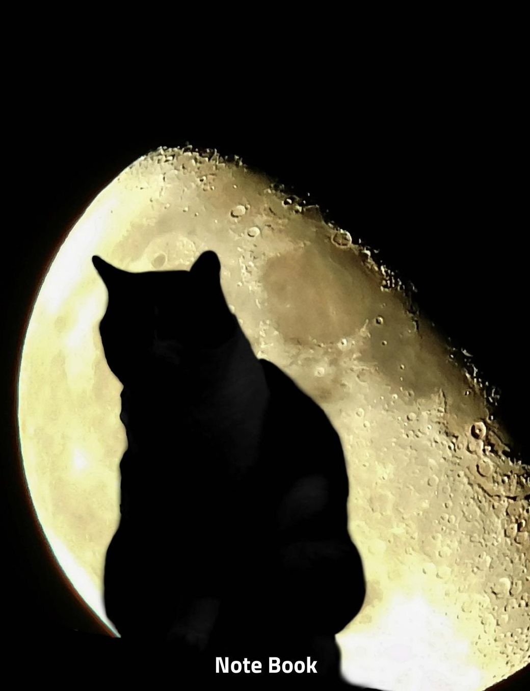 Note Book: The Cat and the Moon, Notebook, Wide Lined, 200 Paged 7.44 X 9.69