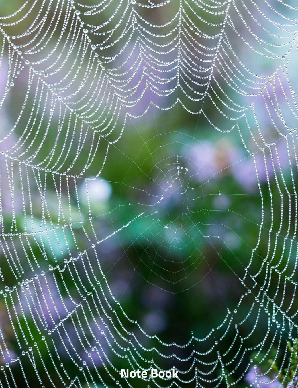 Note Book: Spiders Web in the Morning Mist, Notebook, Wide Lined, 200 Paged 7.44 X 9.69, Geometry