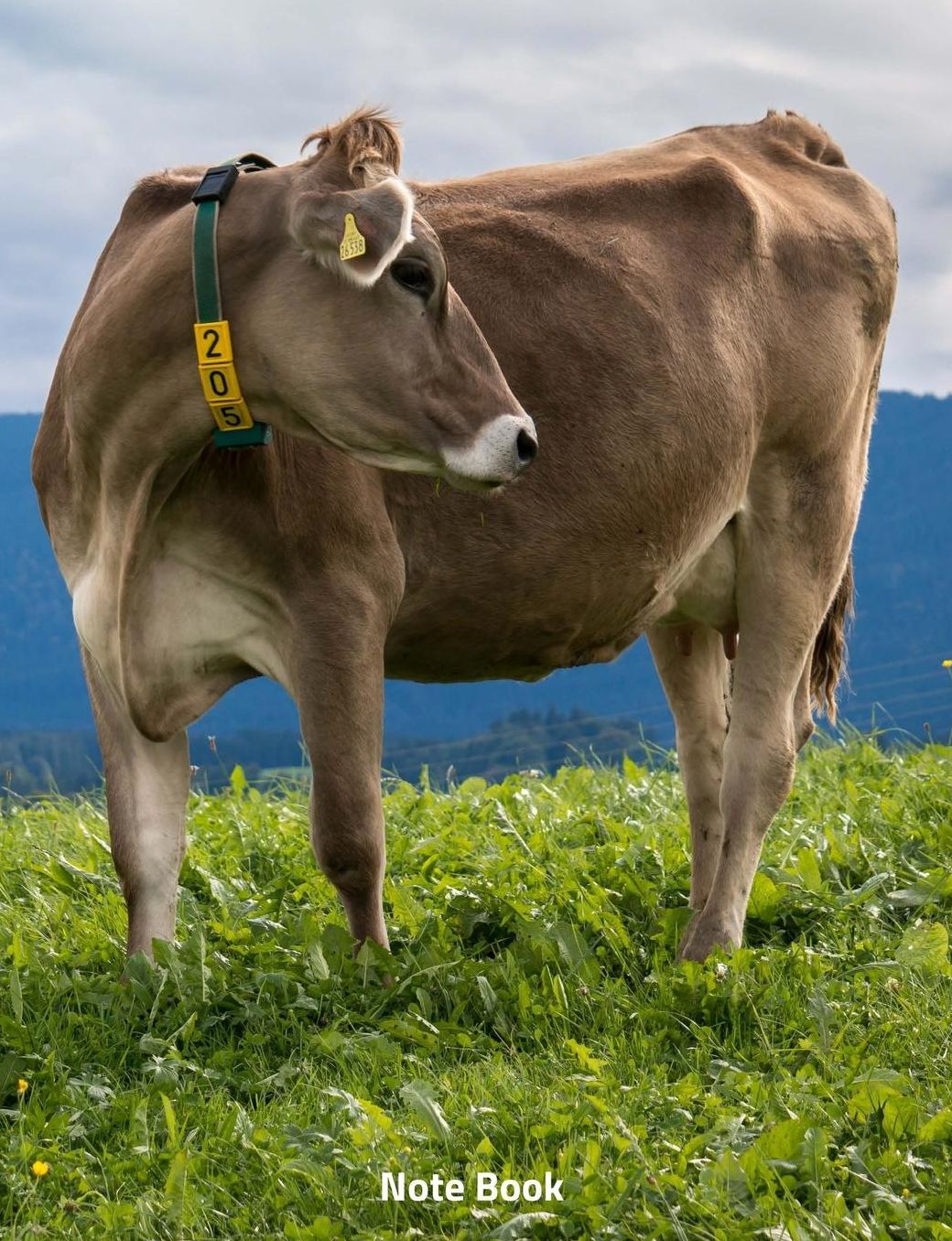 Note Book: Cow in the Meadow, Notebook, Wide Lined, 200 Paged 7.44 X 9.69, Field