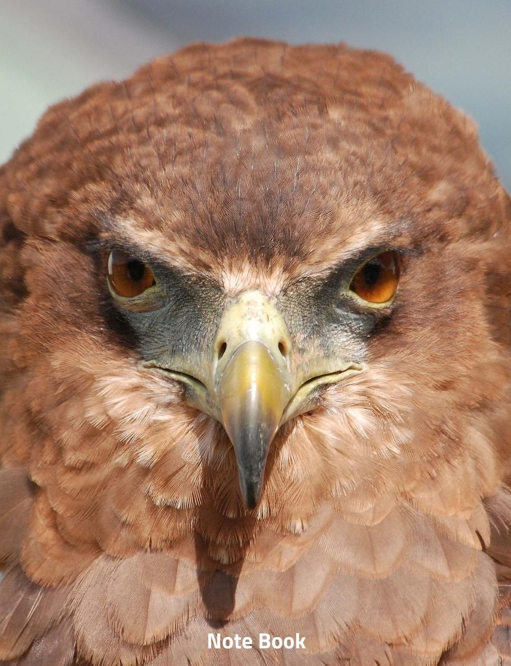 Note Book: Eagle Eyes, Notebook, Wide Lined, 200 Paged 7.44 X 9.69, Bird of Prey