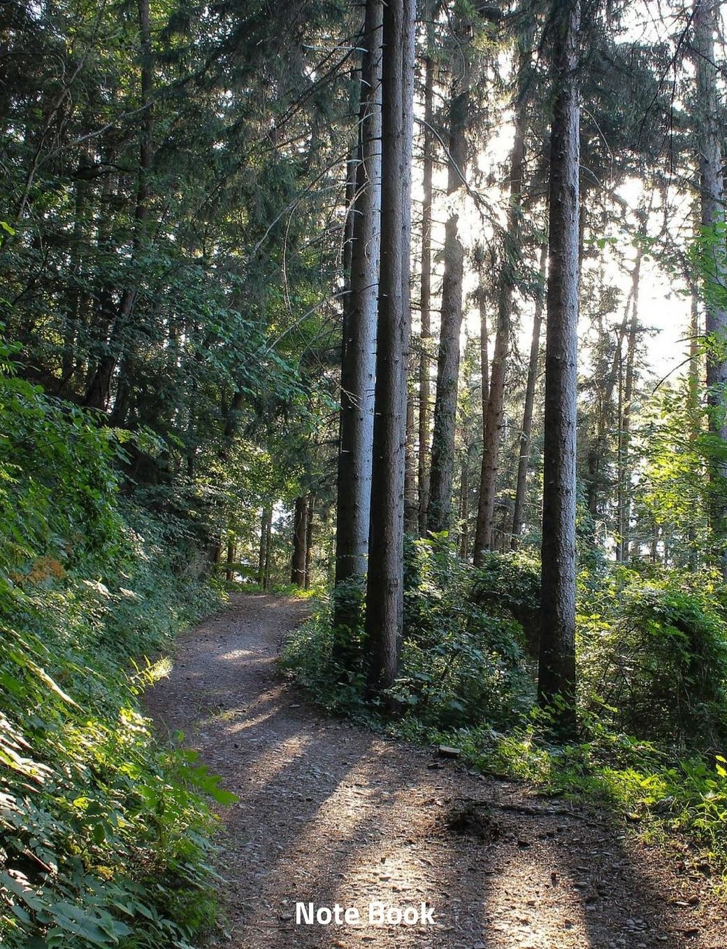 Note Book: A Woodland Path, Notebook, Wide Lined, 200 Paged 7.44 X 9.69, Woods