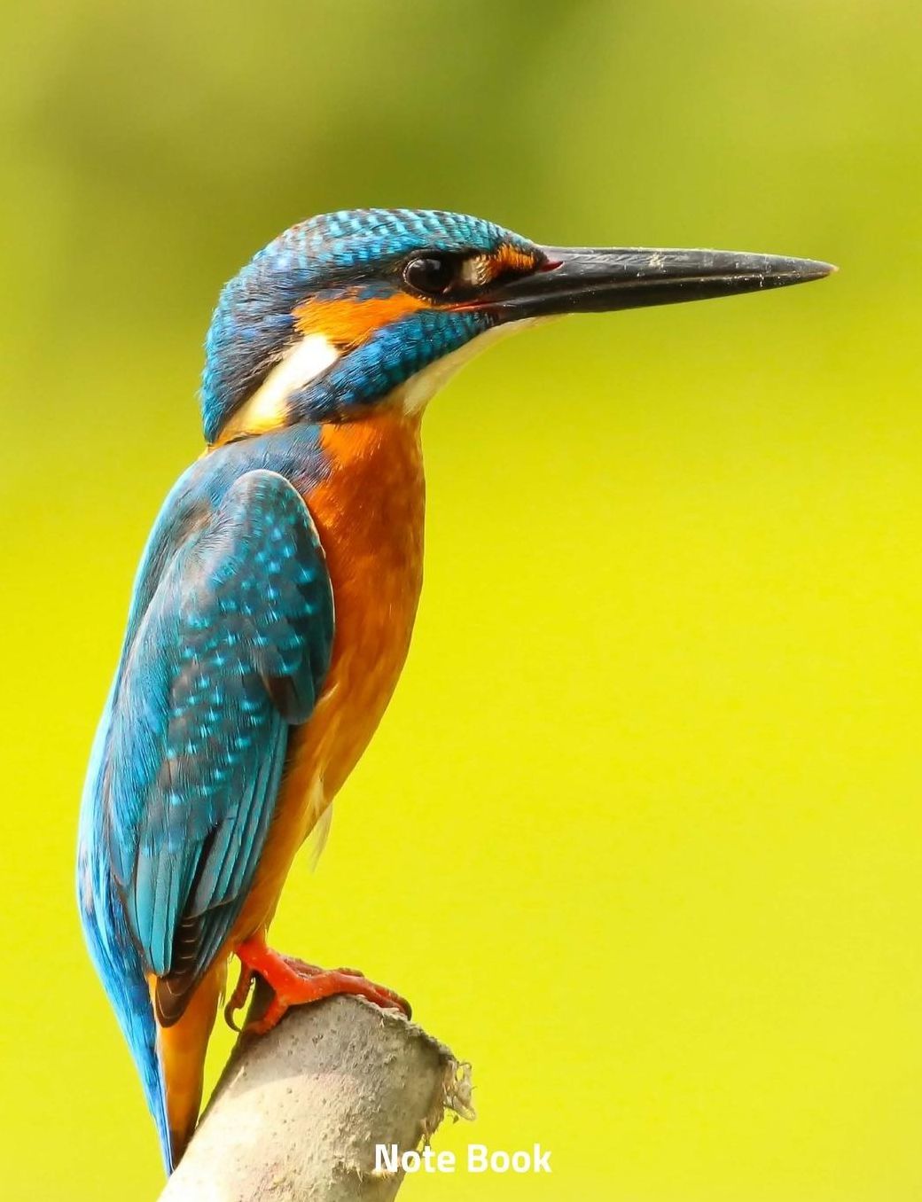 Note Book: Kingfisher on a Branch, Notebook, Wide Lined, 200 Paged 7.44 X 9.69, Birds