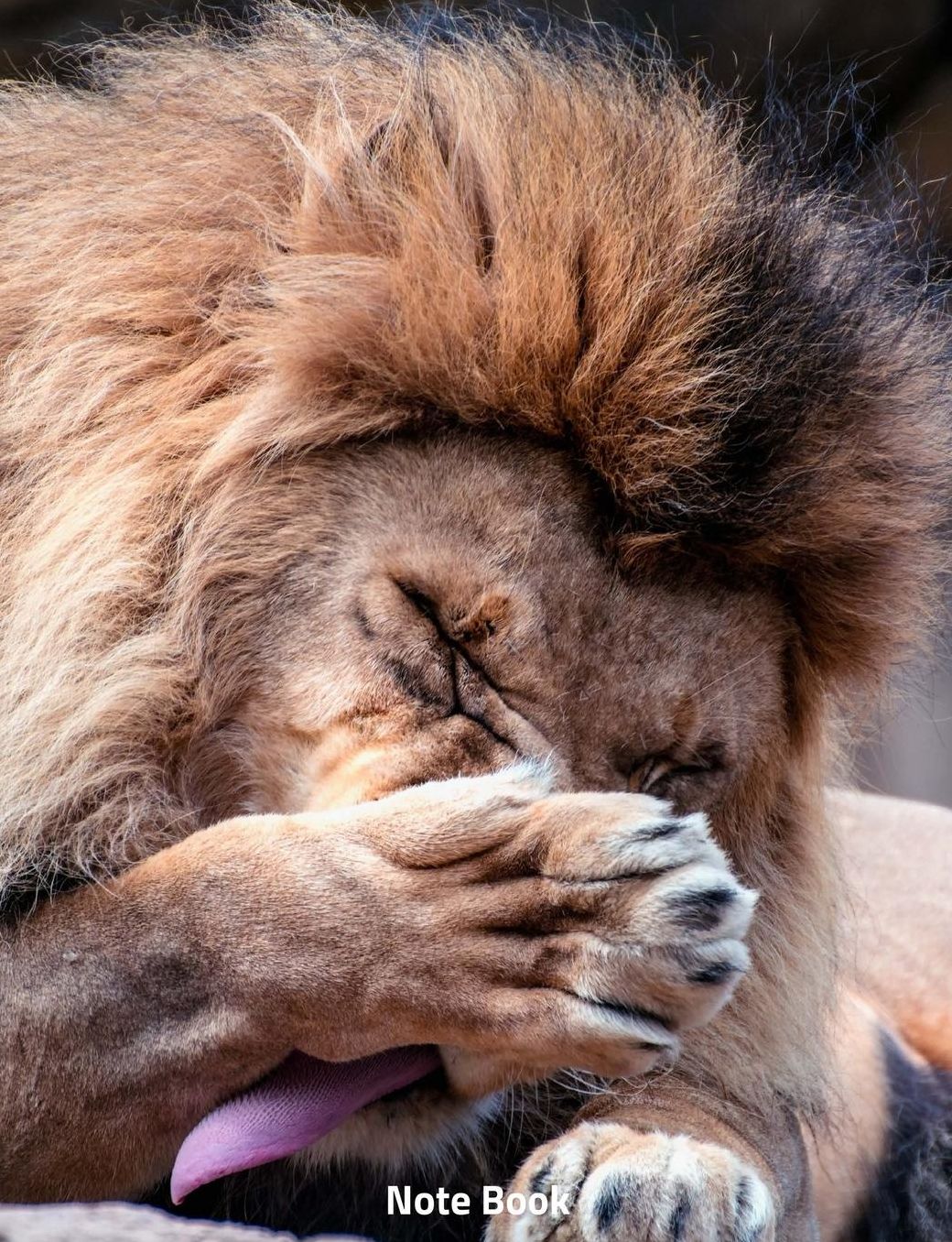Note Book: Lion Lazing Out, Notebook, Wide Lined, 200 Paged 7.44 X 9.69, King of Jungle