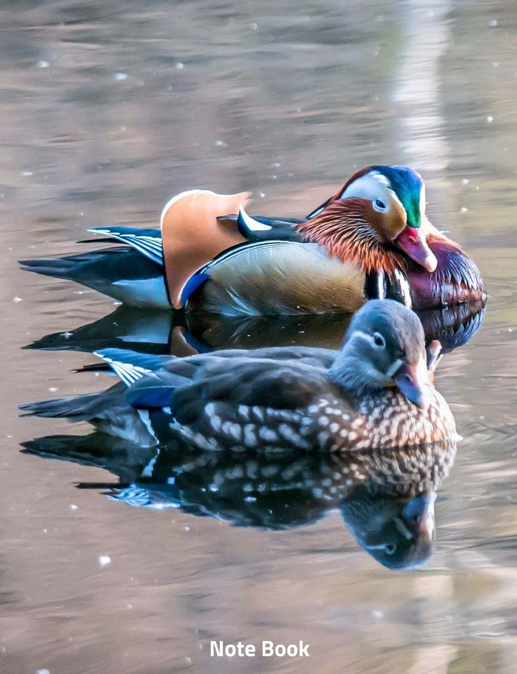 Note Book: Mandarin Ducks on the River, Notebook, Wide Lined, 200 Paged 7.44 X 9.69, Ducks and Birds