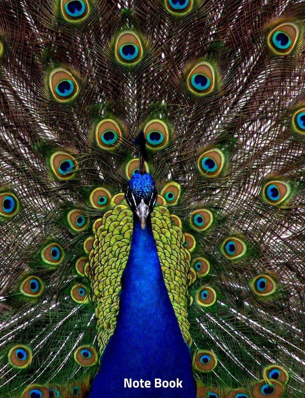 Note Book: Peacock in Full Display, Notebook, Wide Lined, 200 Paged 7.44 X 9.69, Peacocks Display
