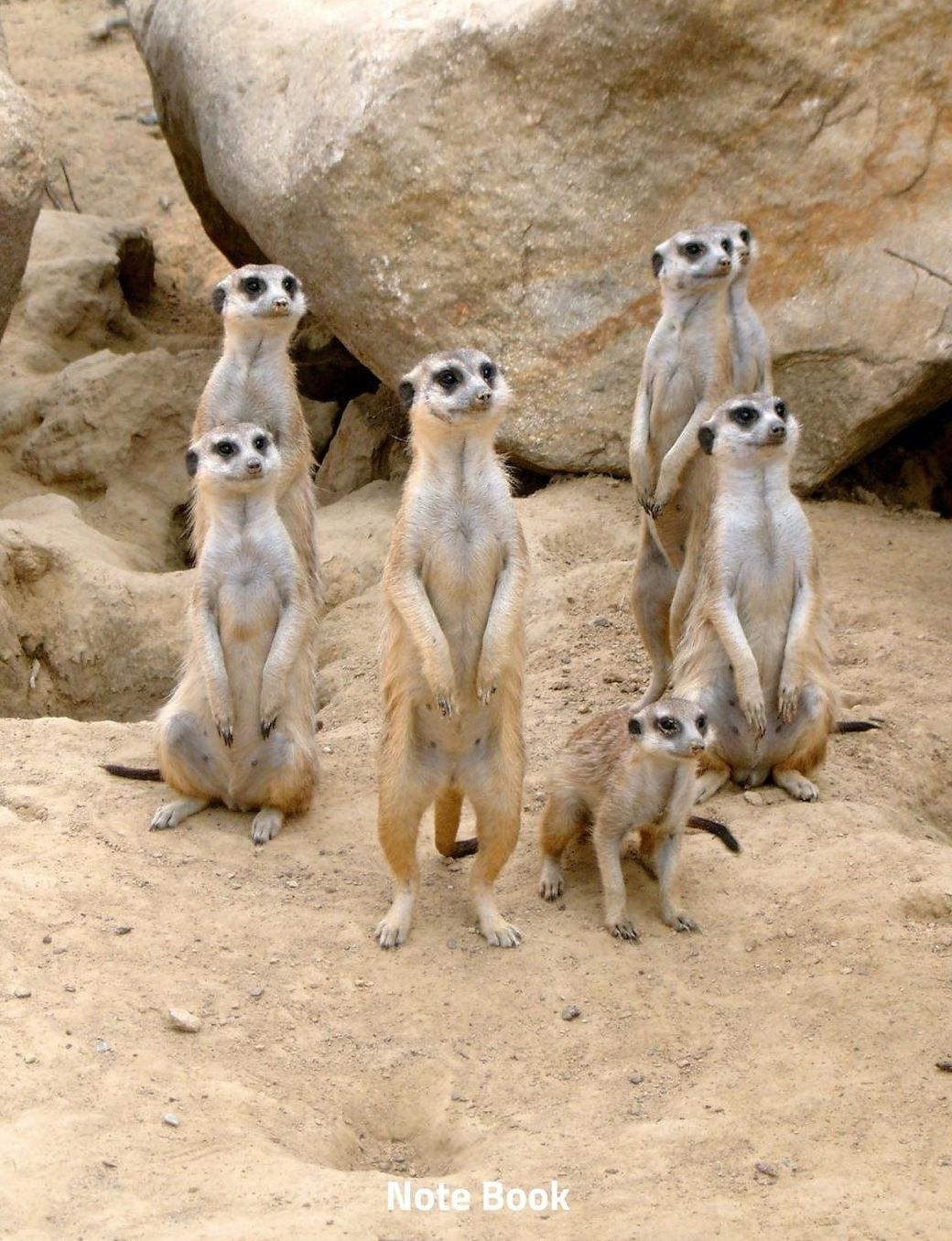 Note Book: Meercats on Look Out, Notebook, Wide Lined, 200 Paged 7.44 X 9.69, Meercat Family